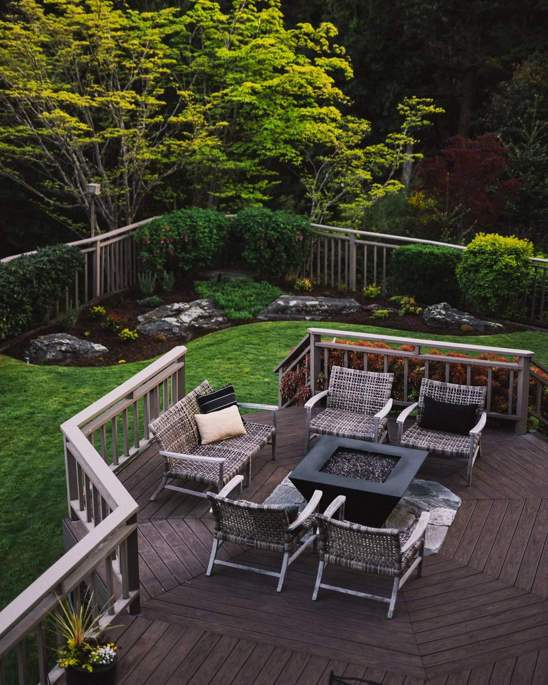 Arbutus 7