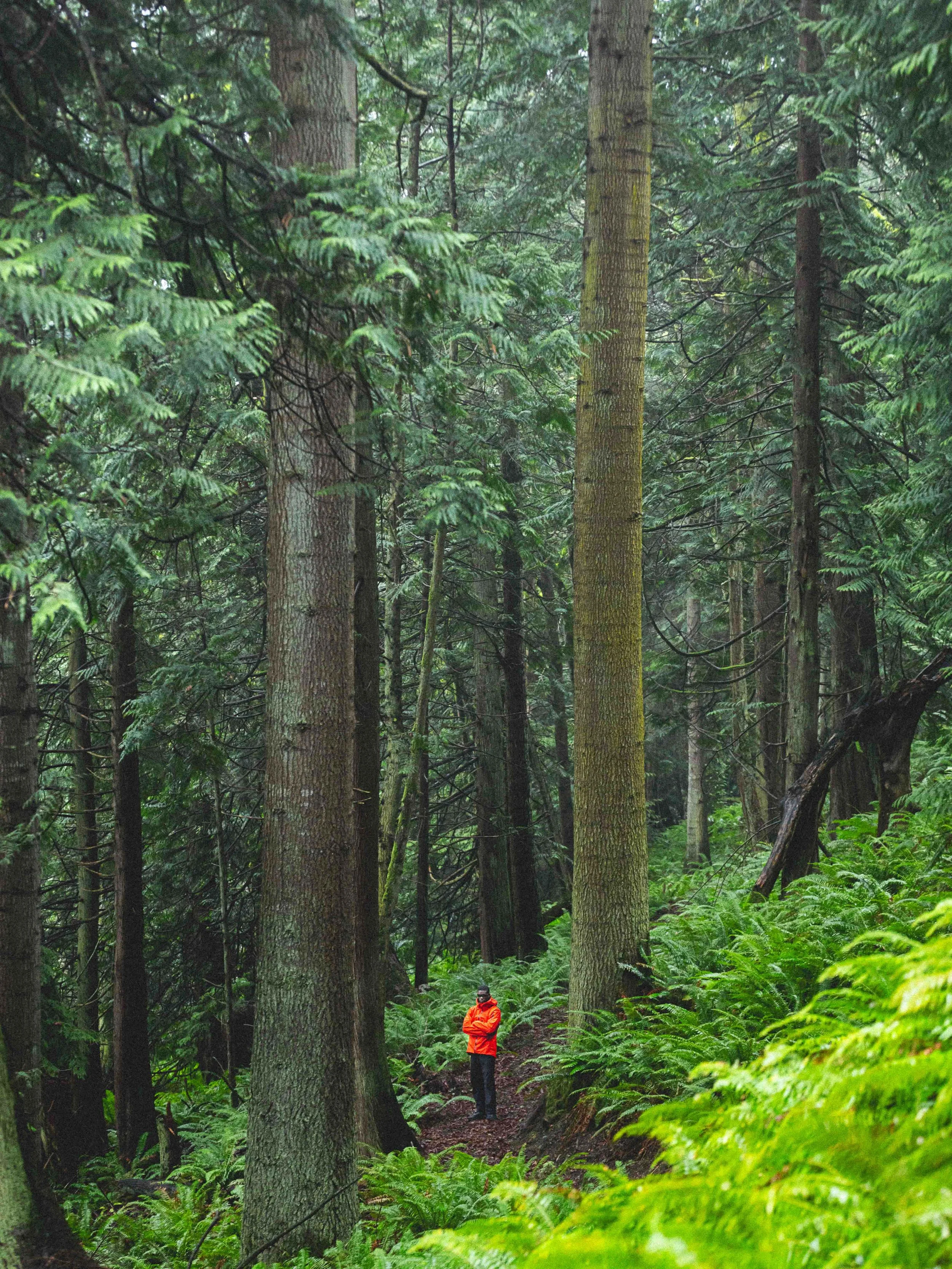 Arcteryx Alpha SV 16