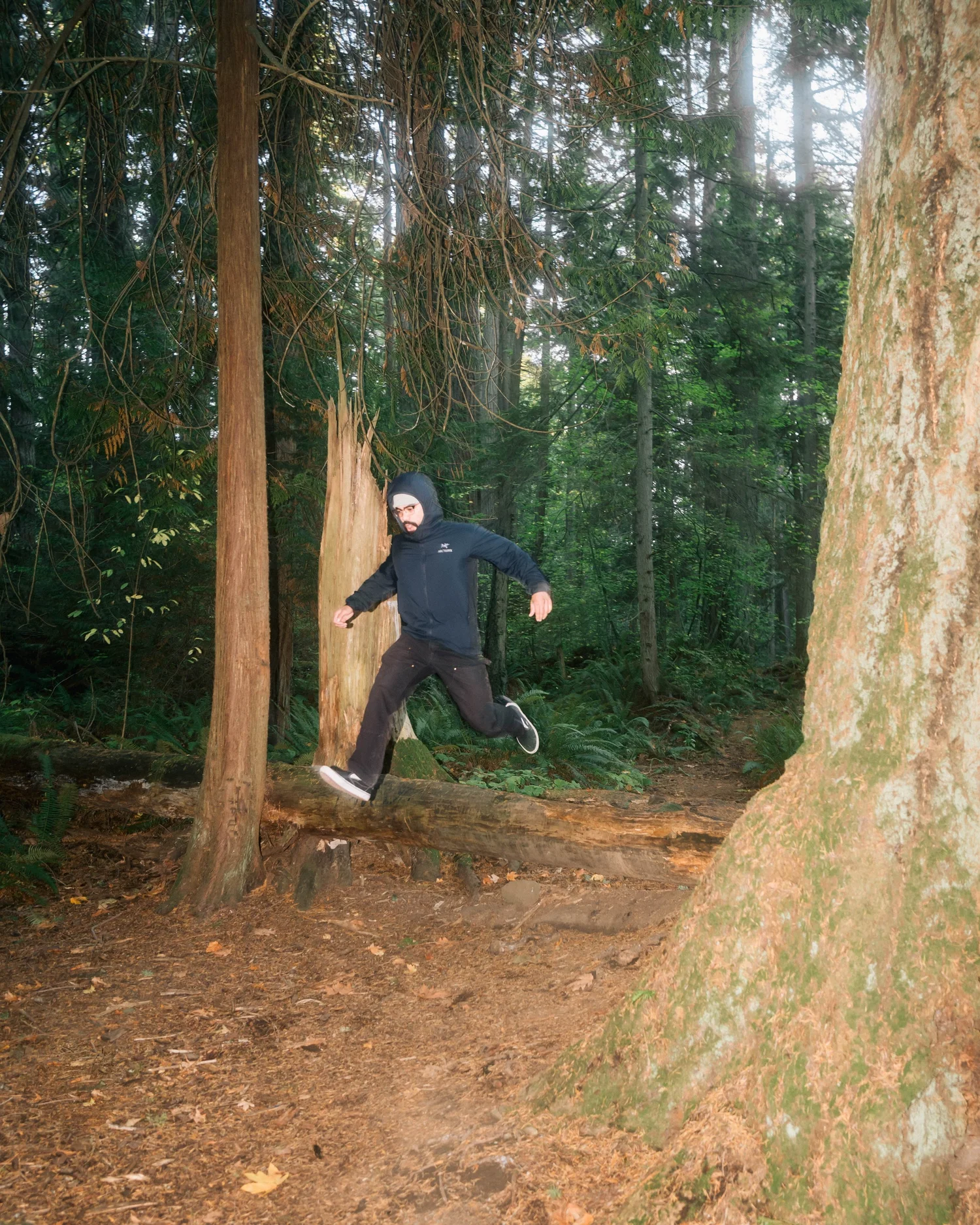 Arcteryx Atom Hoodie 1