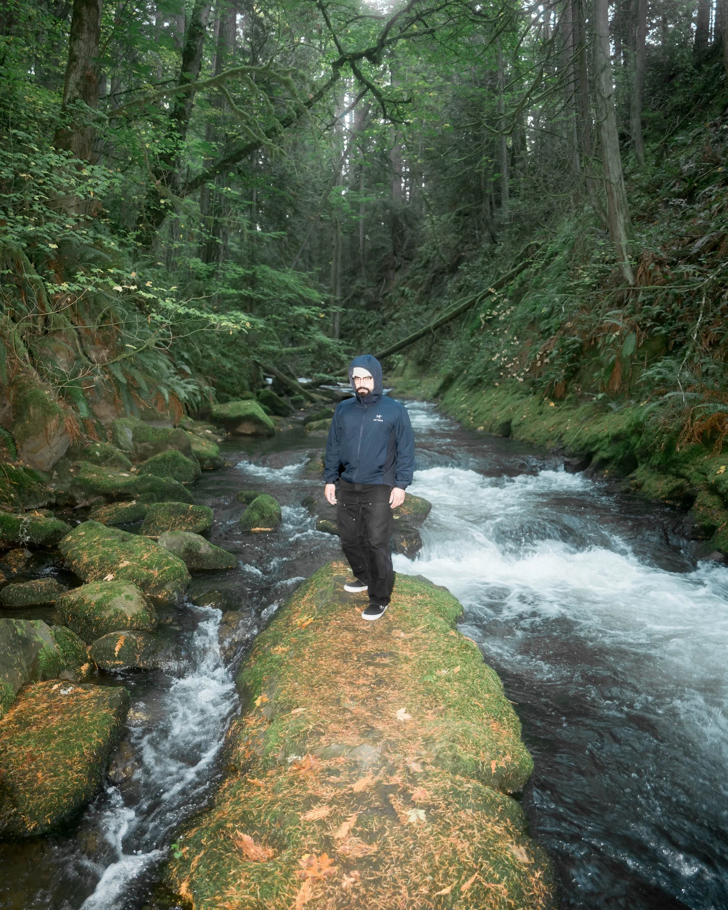 Arcteryx Atom Hoodie 4