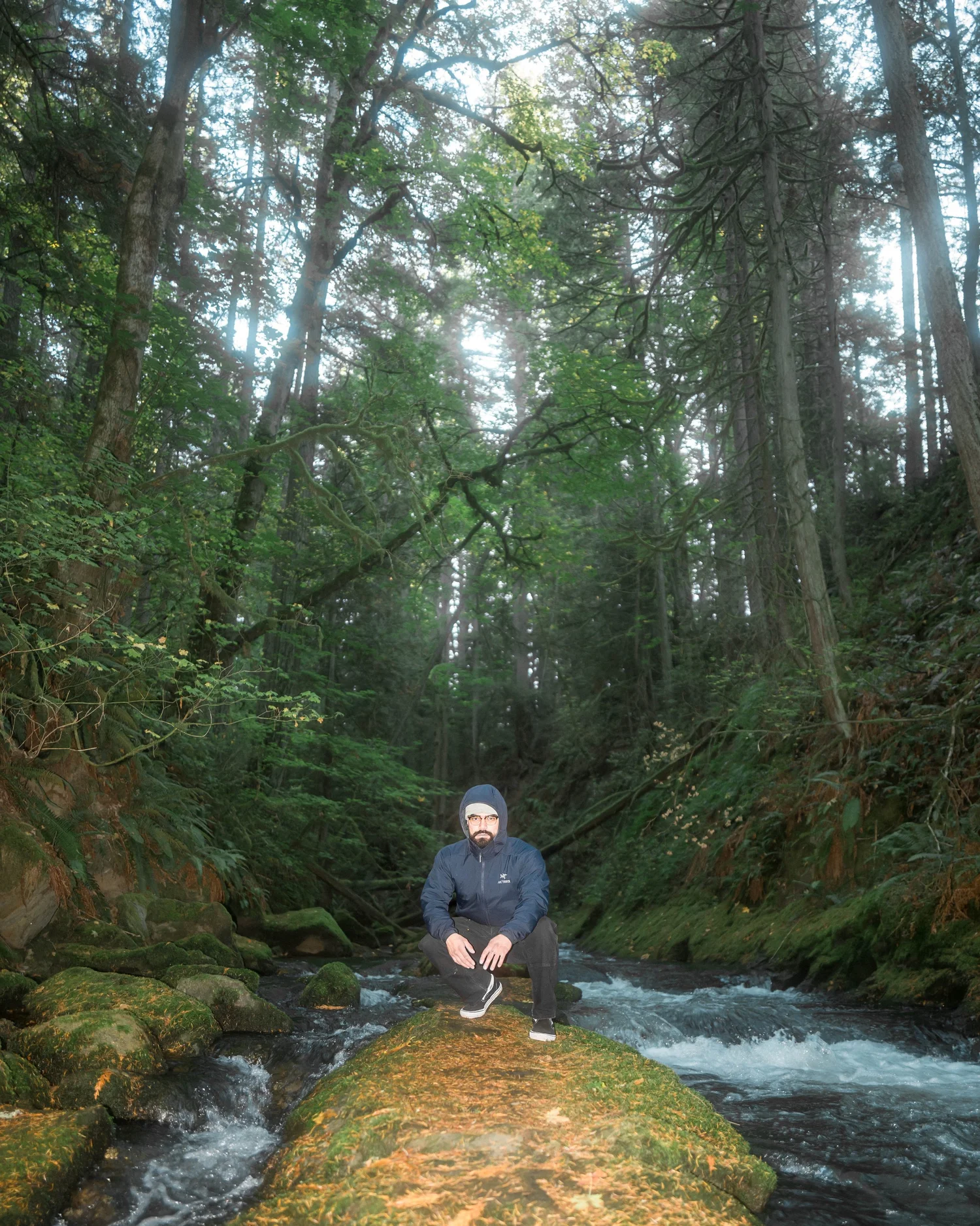 Arcteryx Atom Hoodie 5