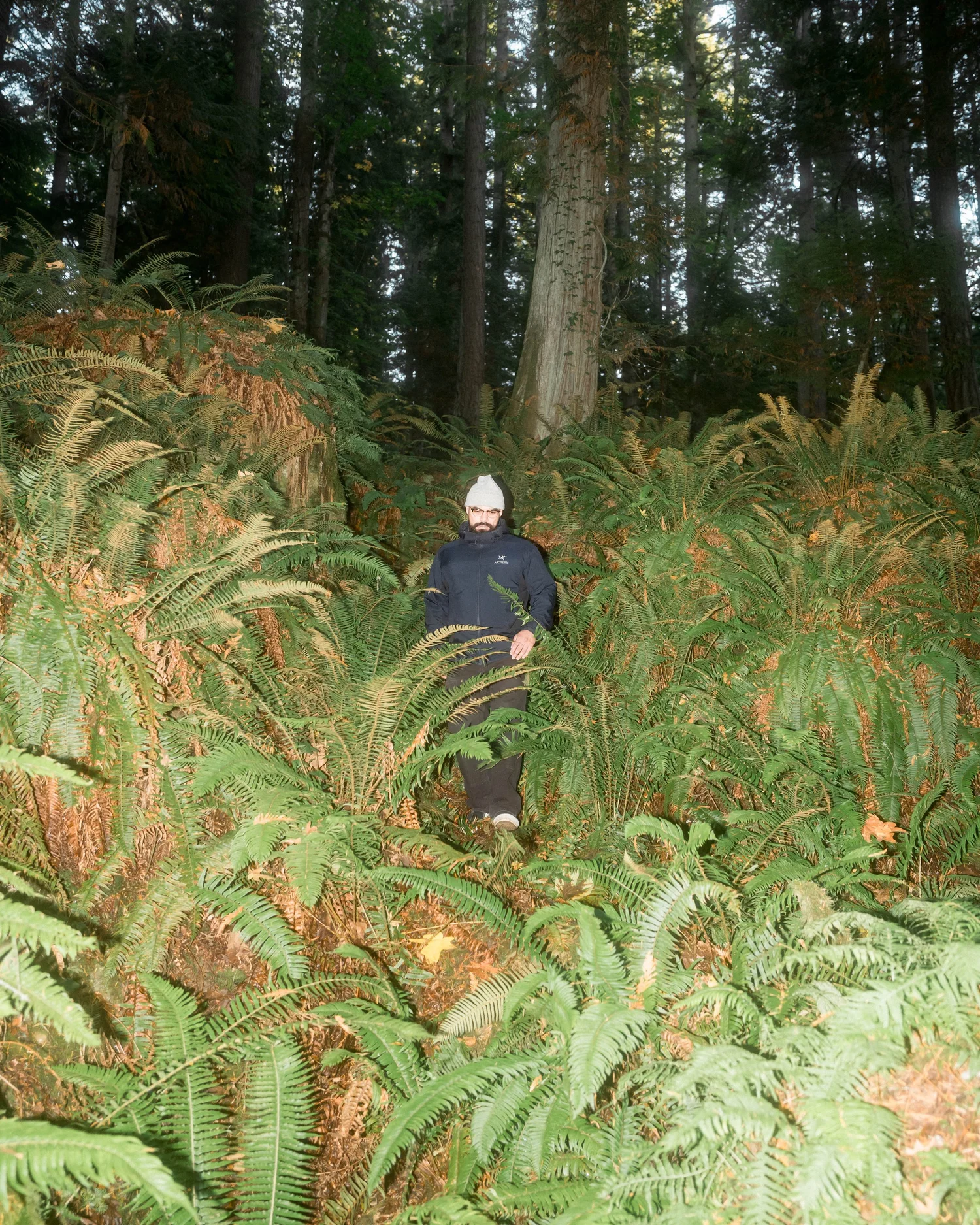 Arcteryx Atom Hoodie 6