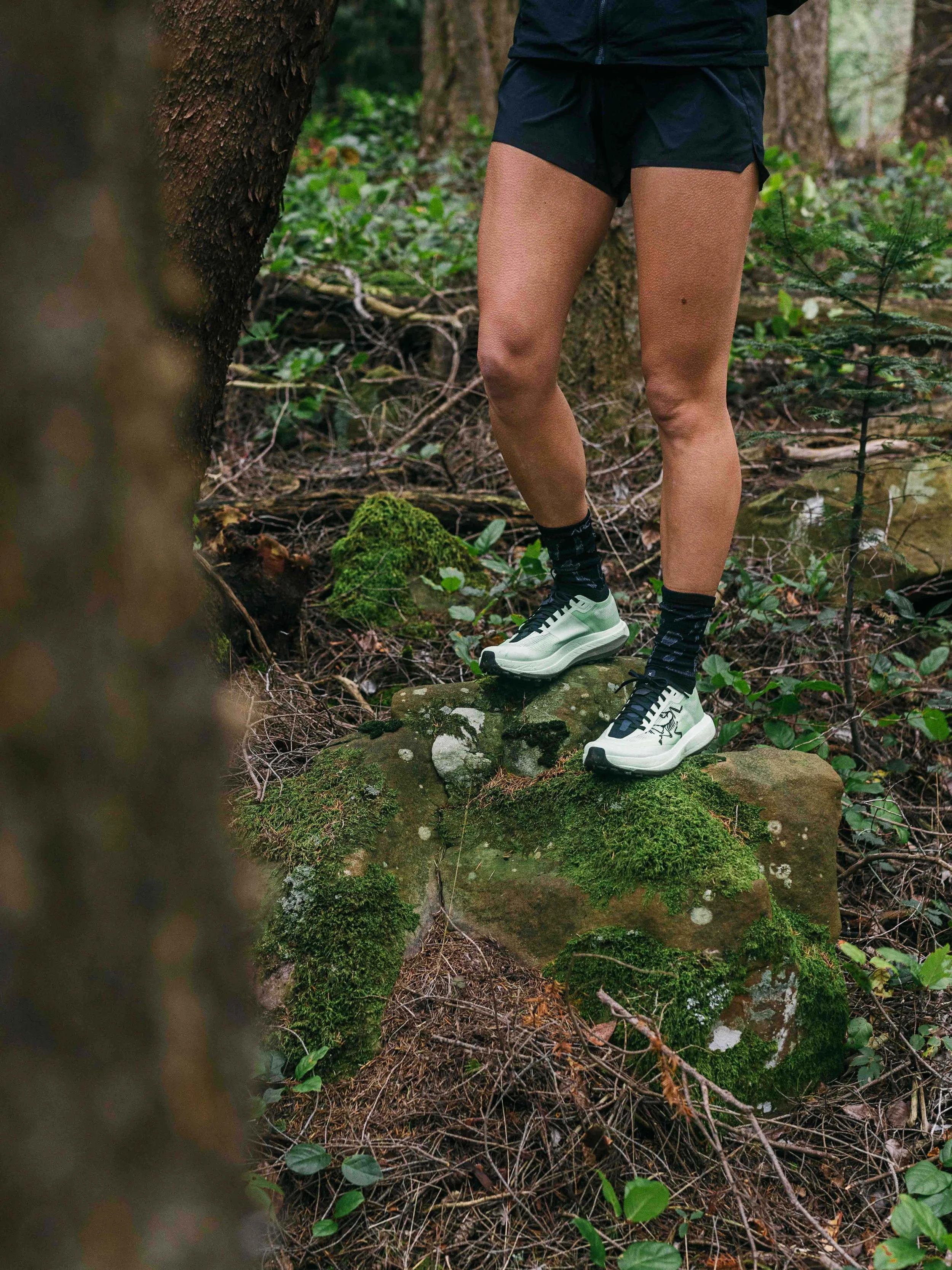 Arcteryx Sylan Pro 4