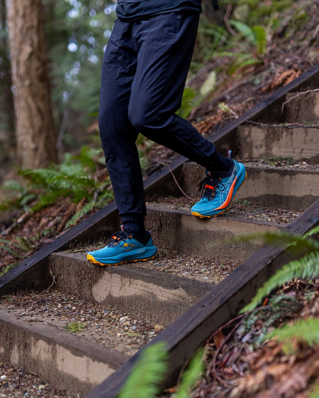 ASICS Gel-Trabuco 13 1