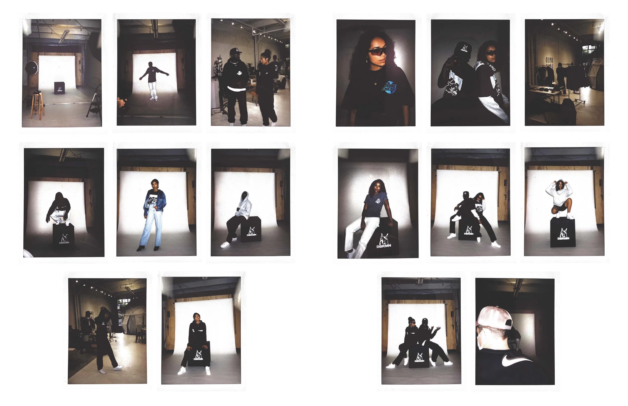 Doberman Studios 12