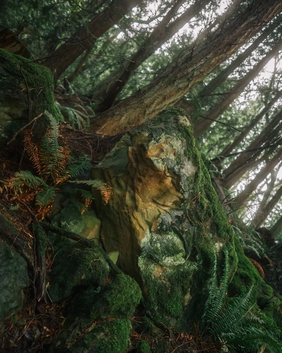 Governors Point Trail 3