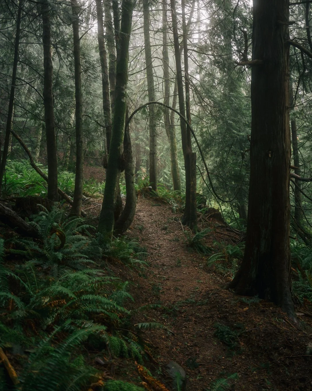 Governors Point Trail 4