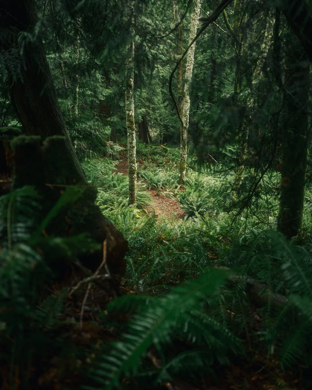 Governors Point Trail 7