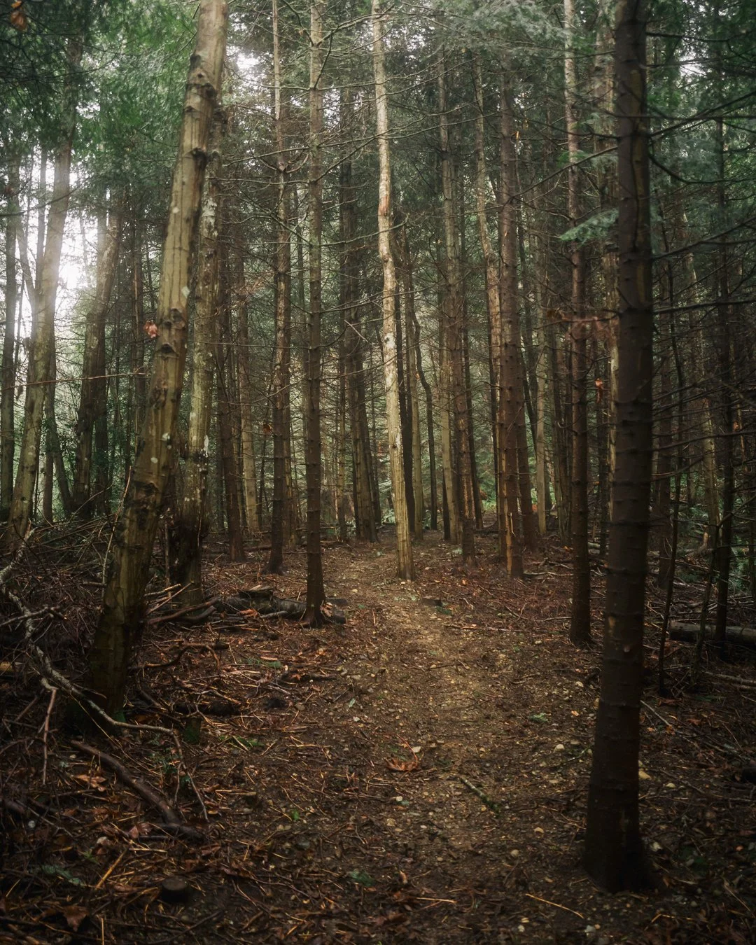 Governors Point Trail 8
