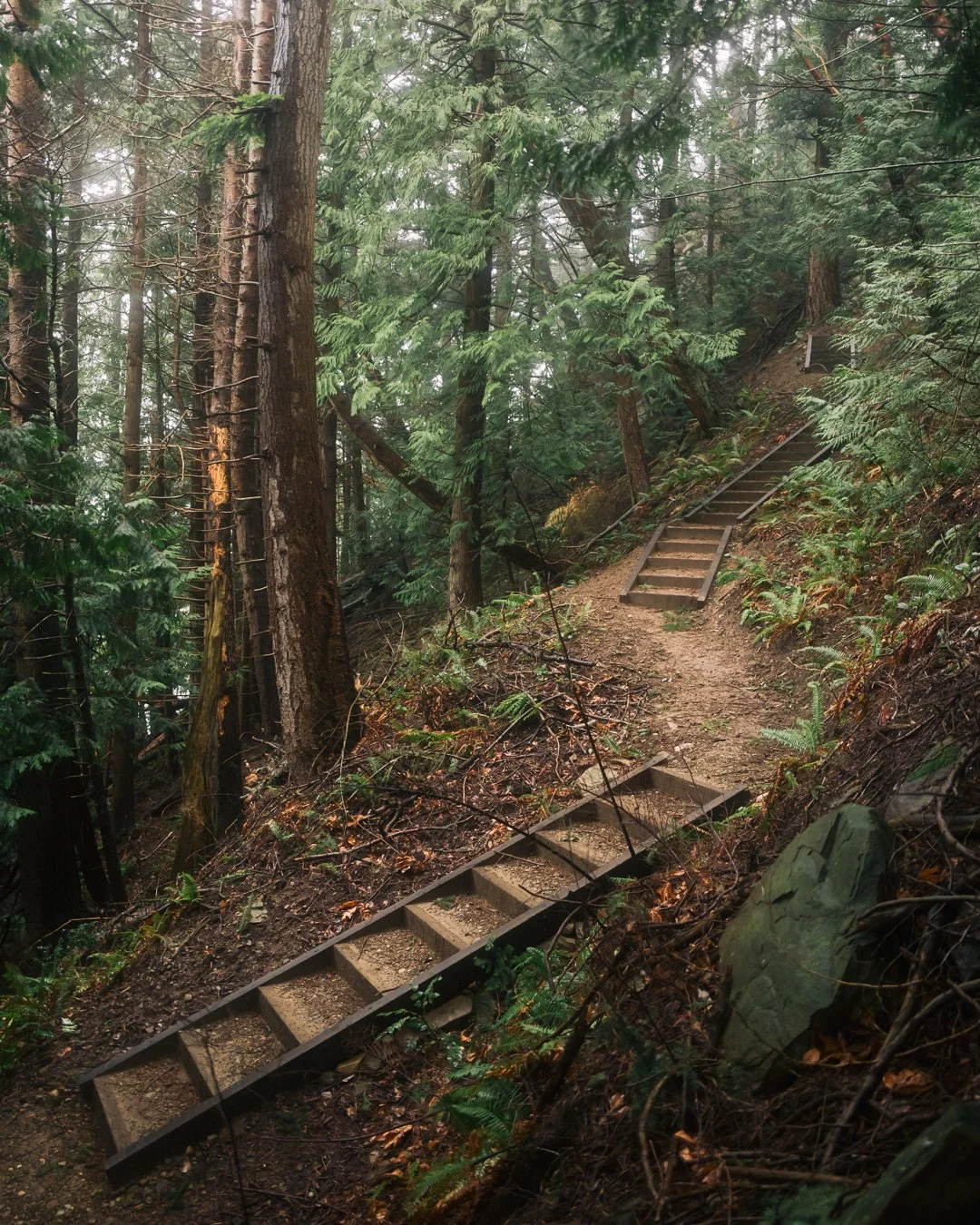 Governors Point Trail 9