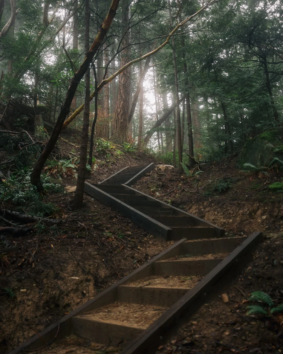 Governors Point Trail 10