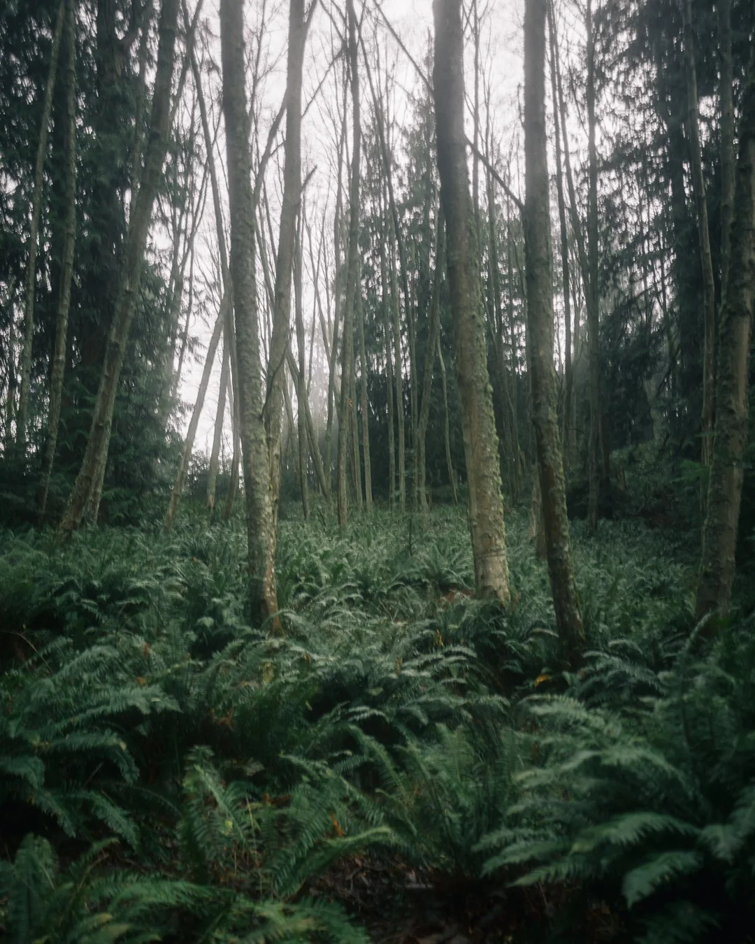 Governors Point Trail 12