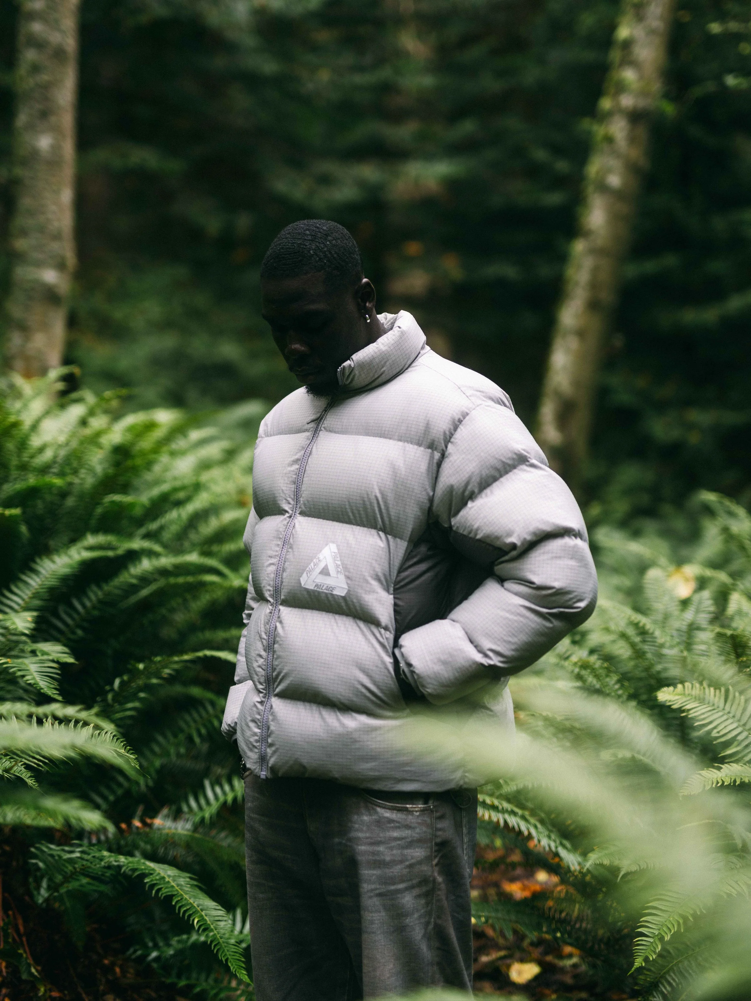 Palace London (Puffer) 5