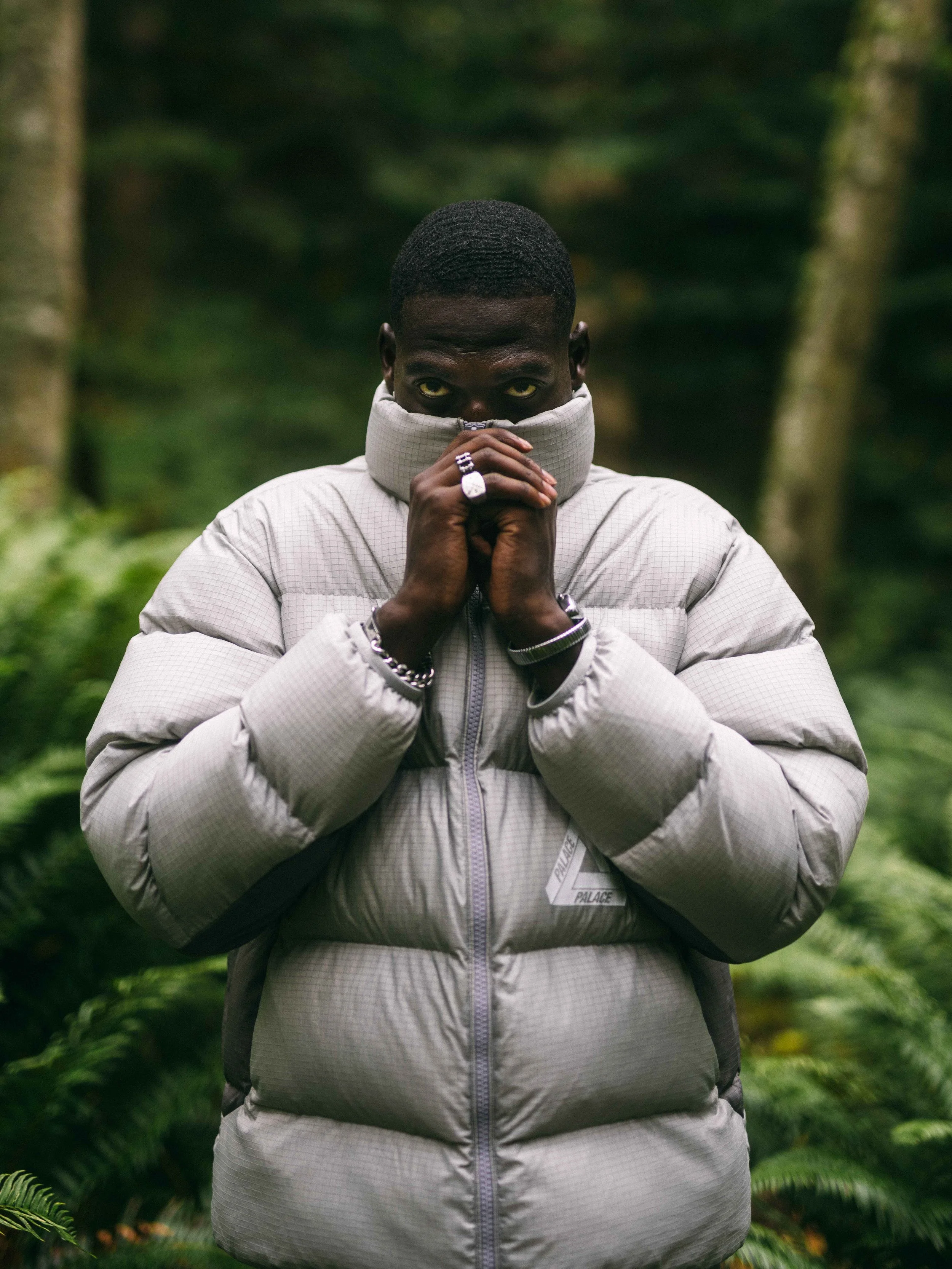 Palace London (Puffer) 11