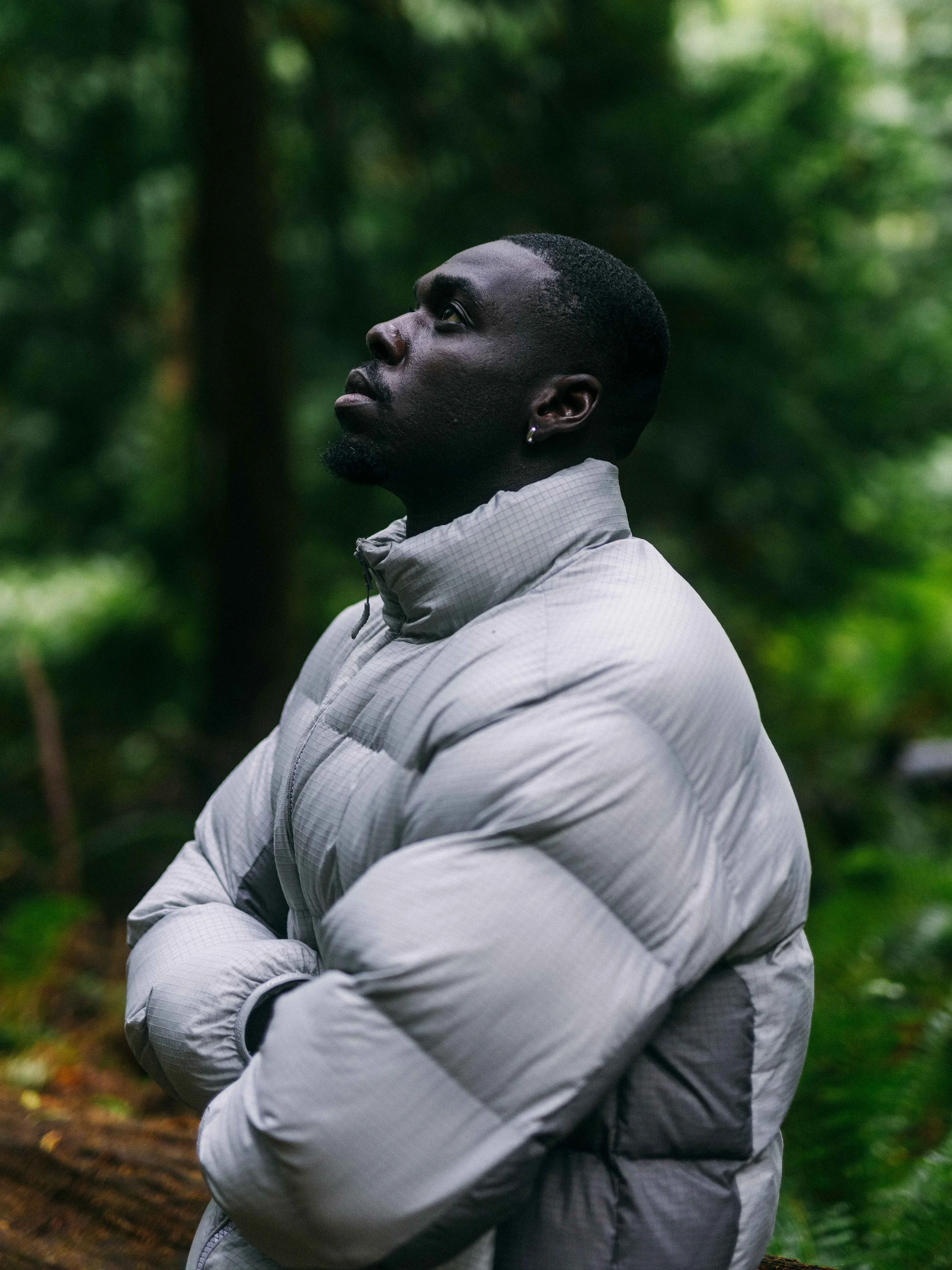 Palace London (Puffer) 17