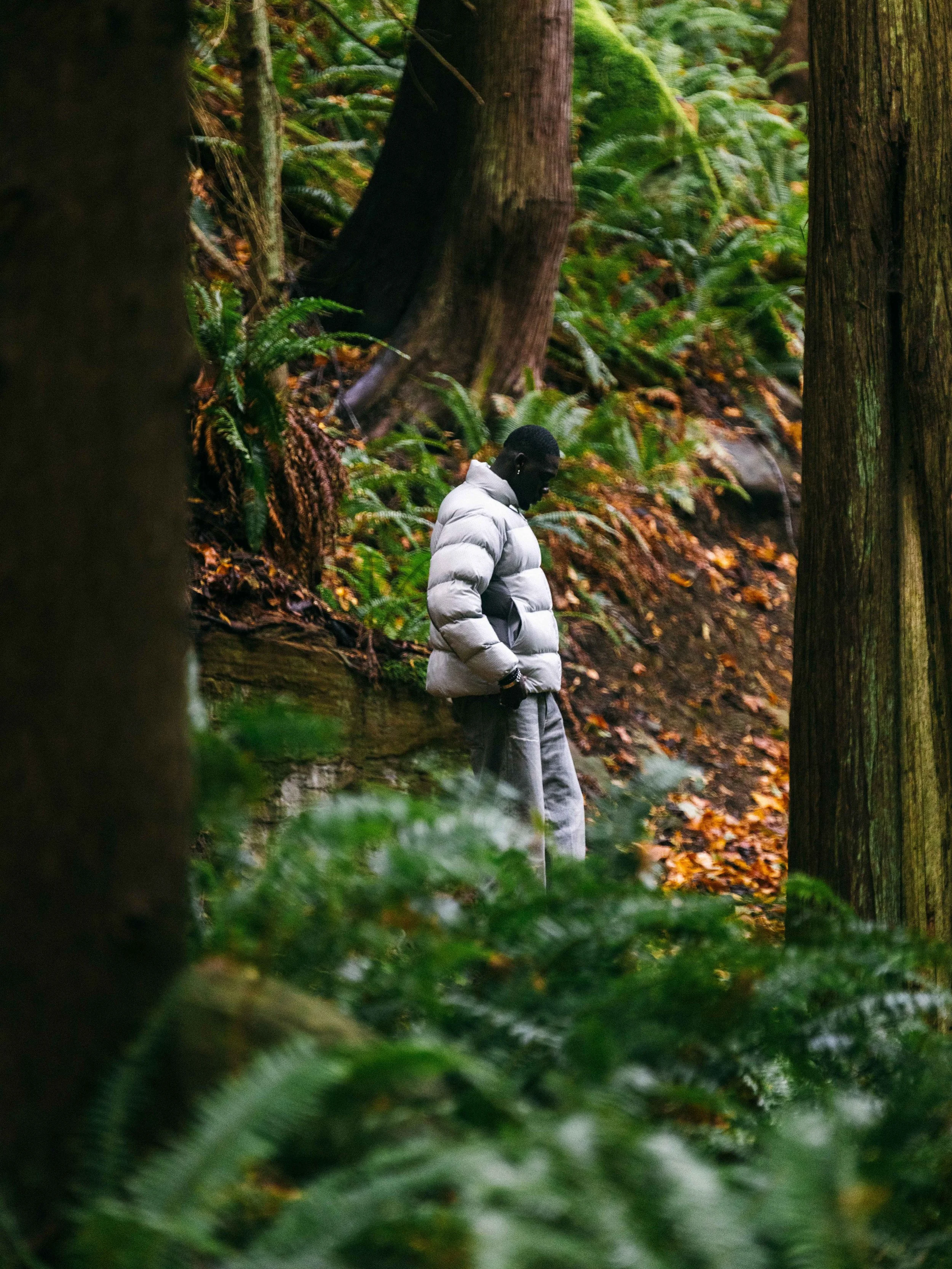 Palace London (Puffer) 19