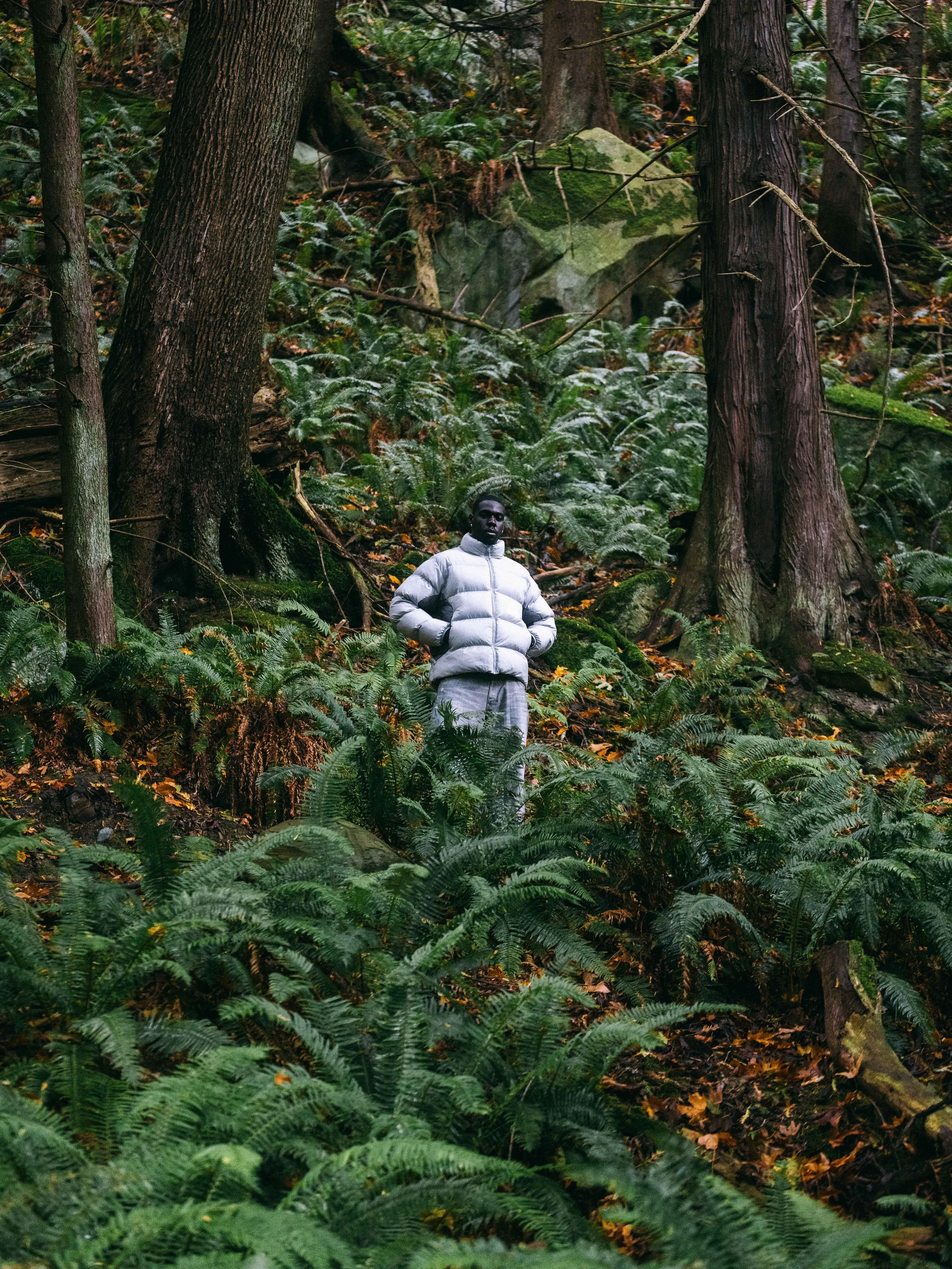 Palace London (Puffer) 27
