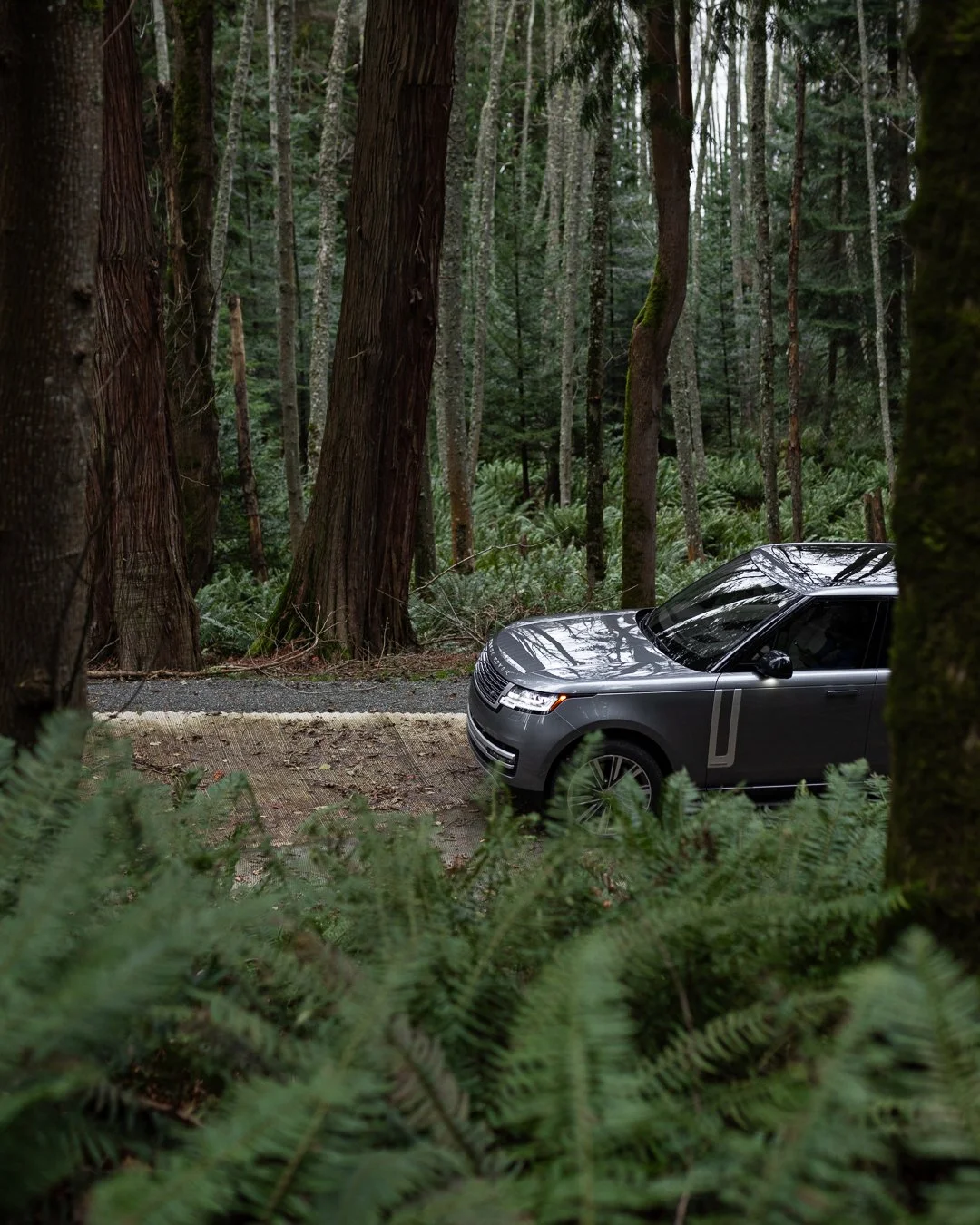 Range Rover 2