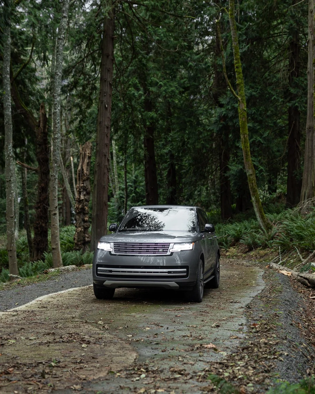 Range Rover 3
