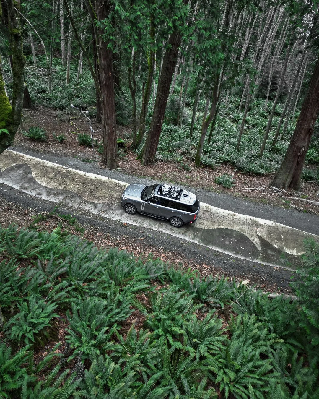 Range Rover 4