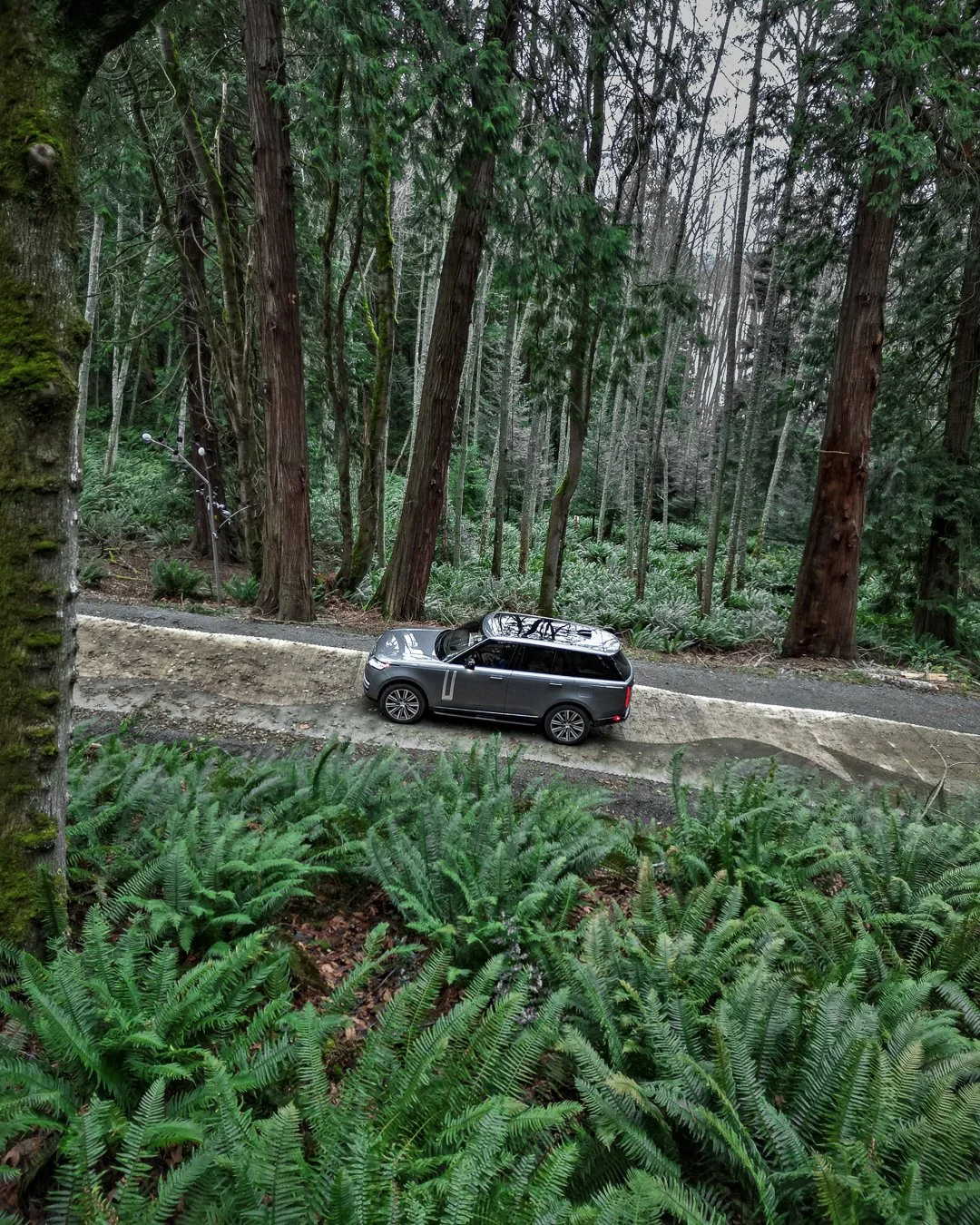 Range Rover 5
