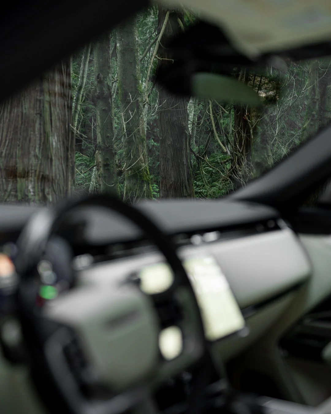 Range Rover 9