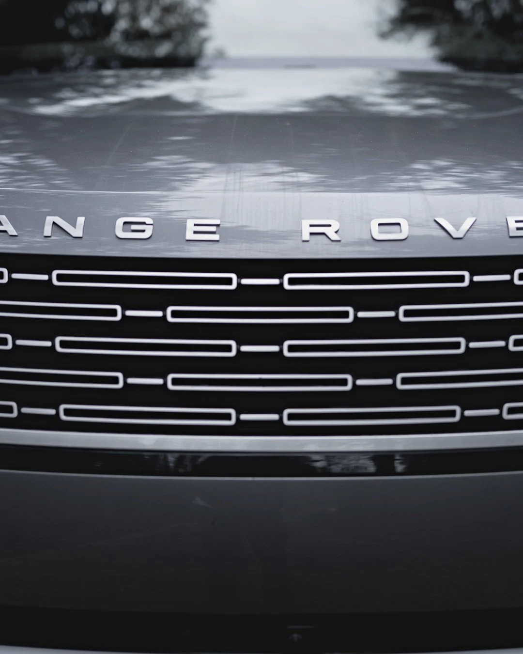 Range Rover 10